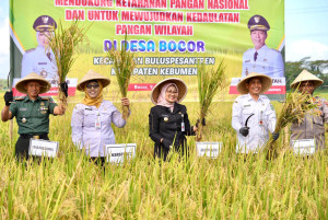 Panen Raya Desa Bocor Sukses Digelar, Bupati Kebumen Apresiasi Peran Petani sebagai Pahlawan Pangan