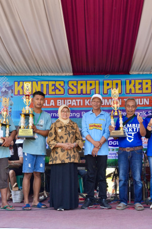 Kontes Sapi PO Kebumen 2025: Bupati Lilis Temukan Sapi 'Lucu' hingga Sapi Jawara Berbobot Hampir 1 Ton