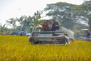 Produksi Pangan Jawa Tengah Lampaui Target, Mantap Menuju Penyangga Pangan Nasional