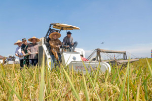 Jaga Sawah Demi Swasembada Pangan 2026, Jateng Terapkan Sanksi dan Insentif bagi Petani