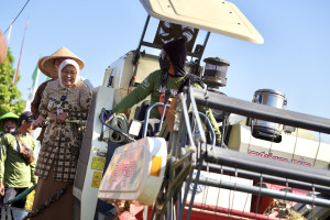 Bupati Kebumen Hadiri Panen Raya Padi Corporate Farming di Desa Bagung Prembun, Produktivitas Petani Mengalami Peningkatan