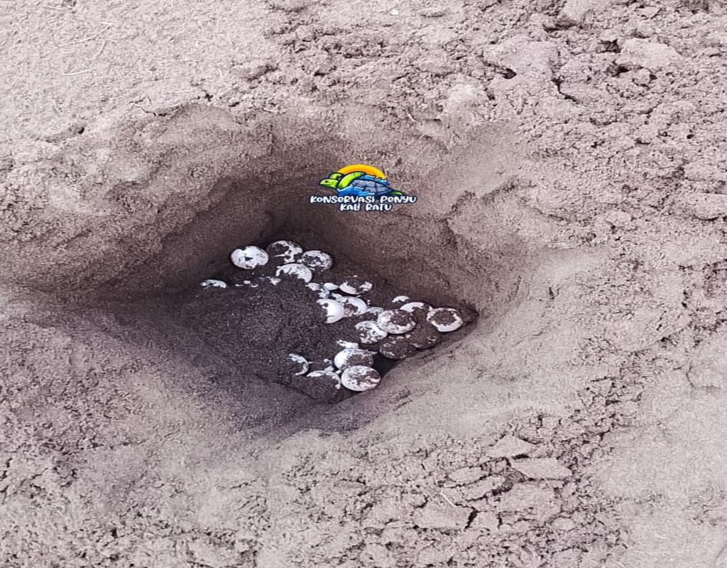 Pantai Kaliratu Jogosimo