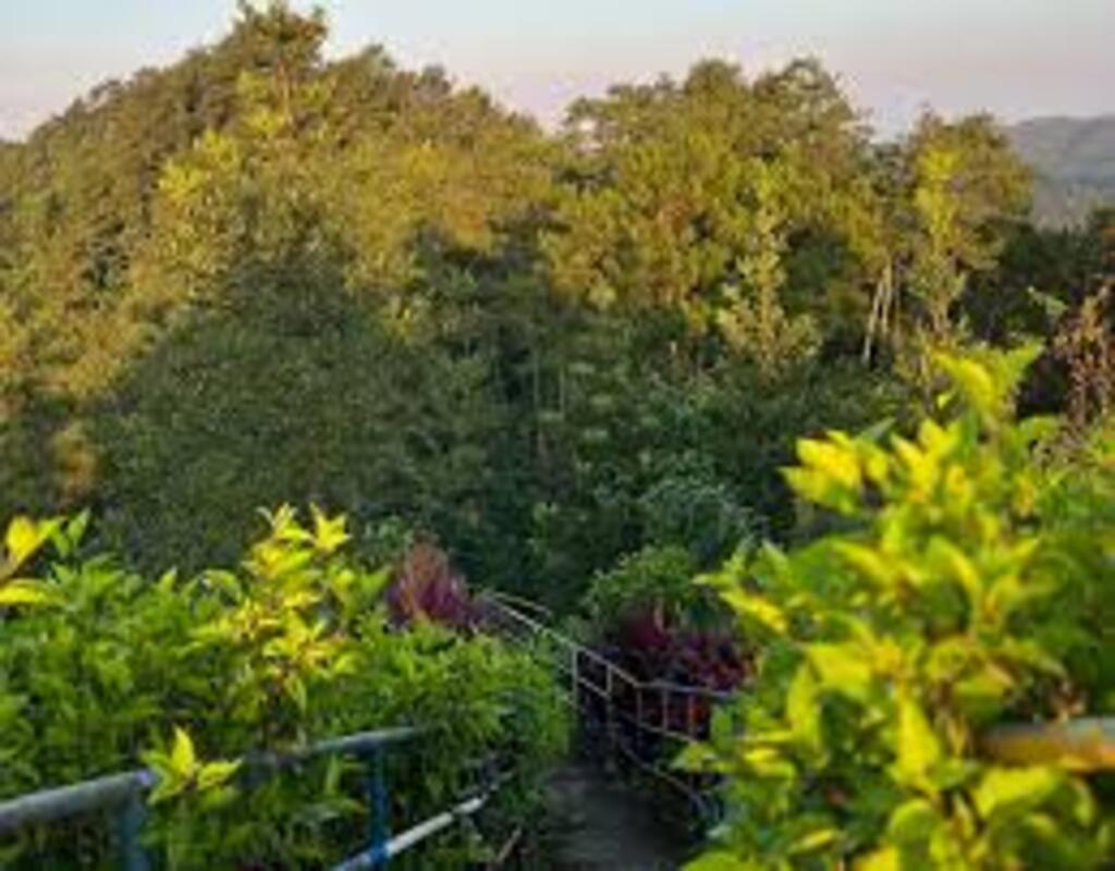 Desa Wisata Wonoharjo